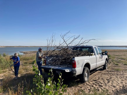 Colorado State Senator Simpson and his wife load cut tamarisk limbs into the truck bed for future wood chipping during the National Public Lands Day event at John Martin, Sept. 25, 2021. Colorado State Senator Simpson and his wife load cut tamarisk limbs into the truck bed for future wood chipping during the National Public Lands Day event at John Martin, Sept. 25, 2021.